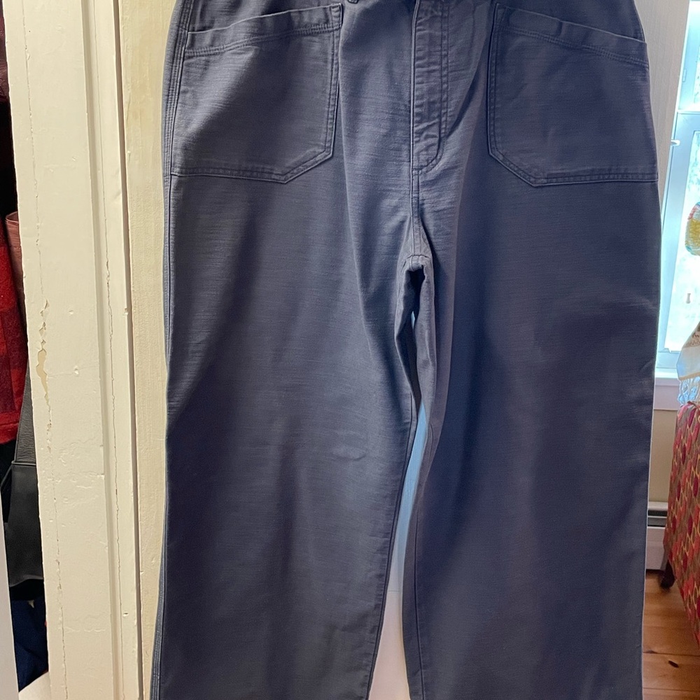 Patagonia women’s Wide Leg Organic Cotton Blue Pants